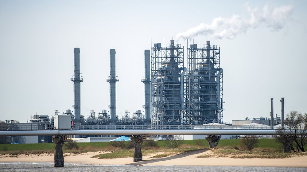 Blick auf eine Fläche vor dem Industriepark Stade. / Foto: Sina Schuldt/dpa