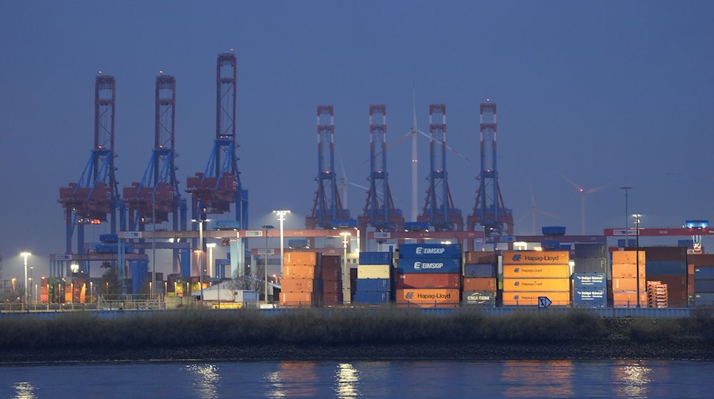 Containerbrücken und Container sind auf einem Container Terminal im Hamburger Hafen zu sehen. Das Bundeskabinett will an diesem Mittwoch eine Nationale Hafenstrategie beschließen. / Foto: Marcus Brandt/dpa