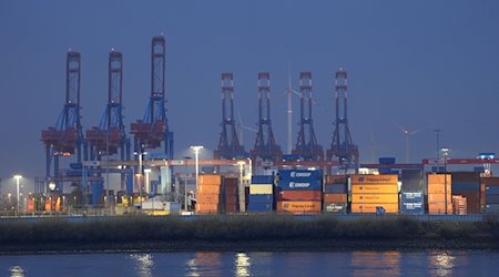 Containerbrücken und Container sind auf einem Container Terminal im Hamburger Hafen zu sehen. Das Bundeskabinett will an diesem Mittwoch eine Nationale Hafenstrategie beschließen. / Foto: Marcus Brandt/dpa