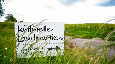 «Kulturelle Landpartie» steht auf einem Schild am Fahrbahnrand in Salderatzen. / Foto: Philipp Schulze/dpa/Archivbild