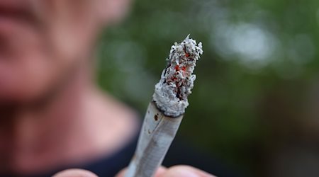 Ein Mann hält einen Joint. / Foto: Karl-Josef Hildenbrand/dpa