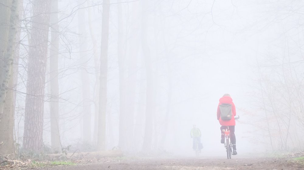 Zwei Fahrradfahrer fahren bei dichtem Nebel durch den Stadtwald Eilenriede. / Foto: Julian Stratenschulte/dpa