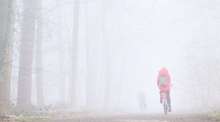 Zwei Fahrradfahrer fahren bei dichtem Nebel durch den Stadtwald Eilenriede. / Foto: Julian Stratenschulte/dpa