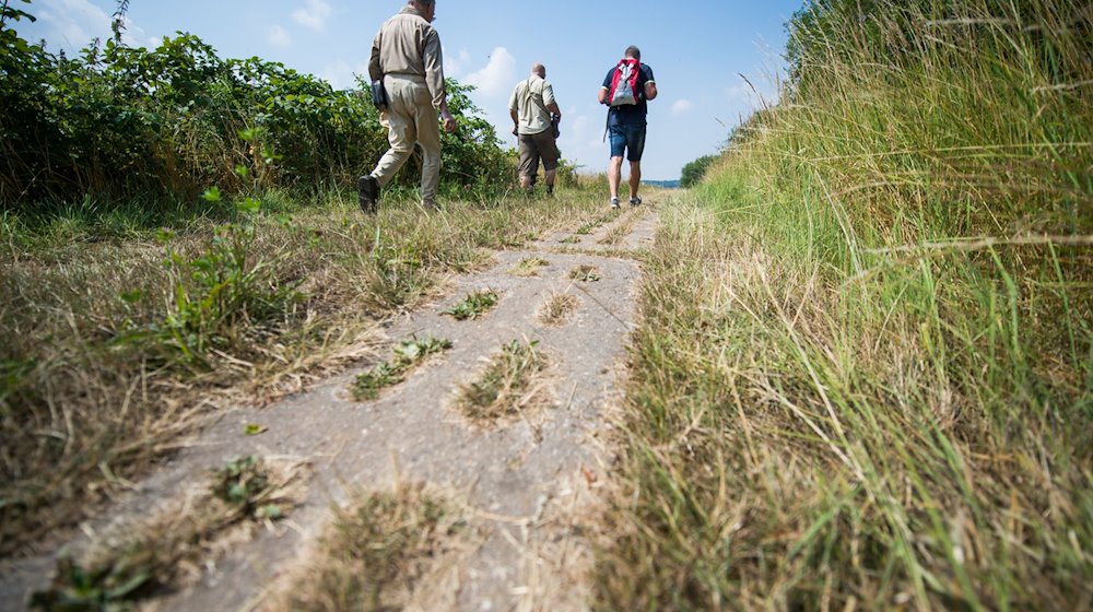 Wanderer laufen am ehemaligen innerdeutschen Grenzstreifen entlang. / Foto: Arne Immanuel Bänsch/dpa