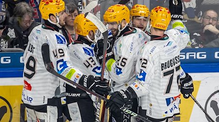 Die Fischtown Pinguins aus Bremerhaven haben erstmals das DEL-Viertelfinale erreicht. / Foto: Andreas Gora/dpa/Archivbild