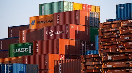 Dutzende Frachtcontainer stehen aufgestapelt im Hamburger Hafen. / Foto: Jonas Walzberg/dpa/Symbolbild