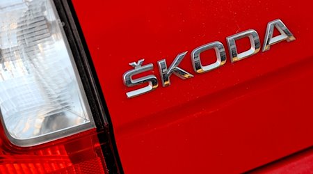 Das klassische Skoda-Logo, noch mit dem Häkchen über dem S, aufgenommen an der Rückseite eines Fahrzeugs. / Foto: Peter Steffen/dpa/Archivbild