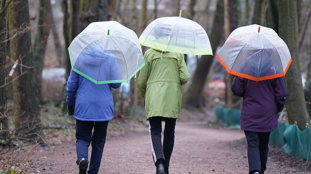 Drei Frauen gehen mit Regenschirmen spazieren. / Foto: Marcus Brandt/dpa