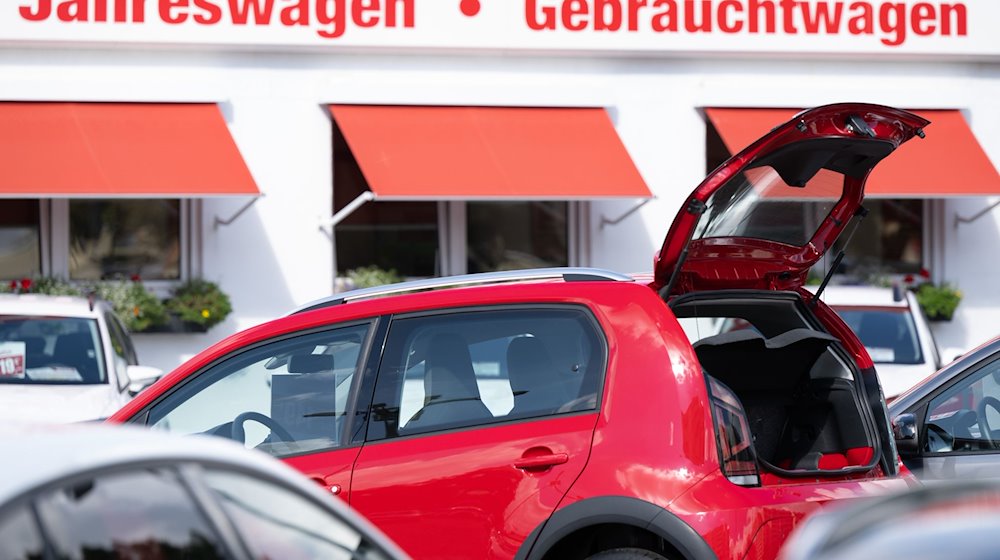 Neuwagen und Gebrauchtwagen stehen bei einem Autohändler nebeneinander. / Foto: Sebastian Kahnert/dpa/Archivbild