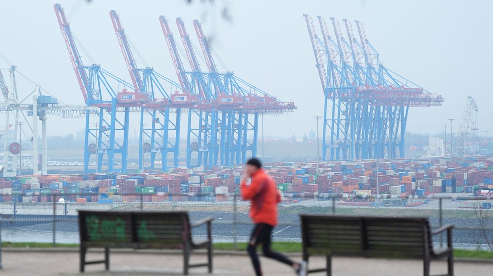 Ein Jogger läuft über den Altonaer Balkon. Im Hintergrund wind die Containerbrücken und des Container Terminals Tollerort im Hamburger Hafen zu sehen. / Foto: Marcus Brandt/dpa