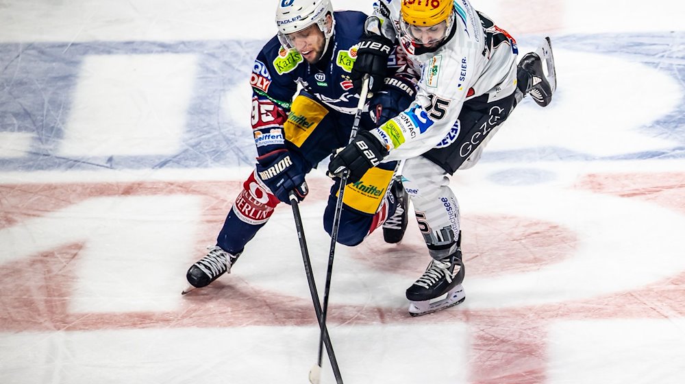 Berlins Frederik Tiffels (l) kämpft gegen Gregory Kreutzer von Pinguins Bremerhaven um den Puck. / Foto: Andreas Gora/dpa