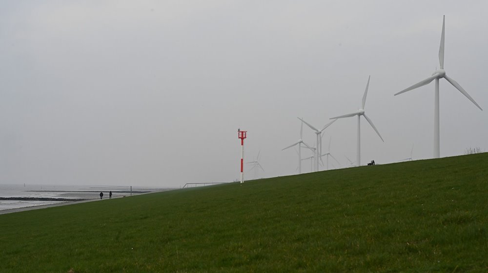 Blick auf den Windpark Rysumer Nacken. / Foto: Lars Penning/dpa