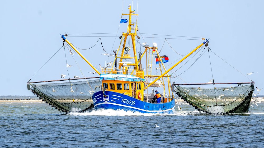 Ein Krabbenkutter ist auf der Nordsee unterwegs. / Foto: Sina Schuldt/dpa
