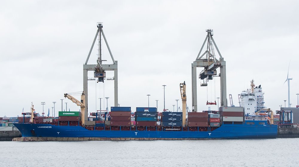 Das Containerschiff "Langeness" liegt am Terminal am Burchardkai. / Foto: Daniel Bockwoldt/dpa/Symbolbild