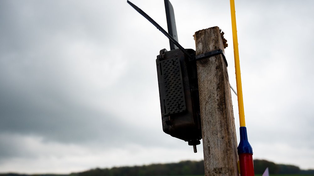 Eine Wildkamera hängt zur Hilfe bei der Suche nach einem vermissten Jungen auf einem Feld. / Foto: Daniel Bockwoldt/dpa