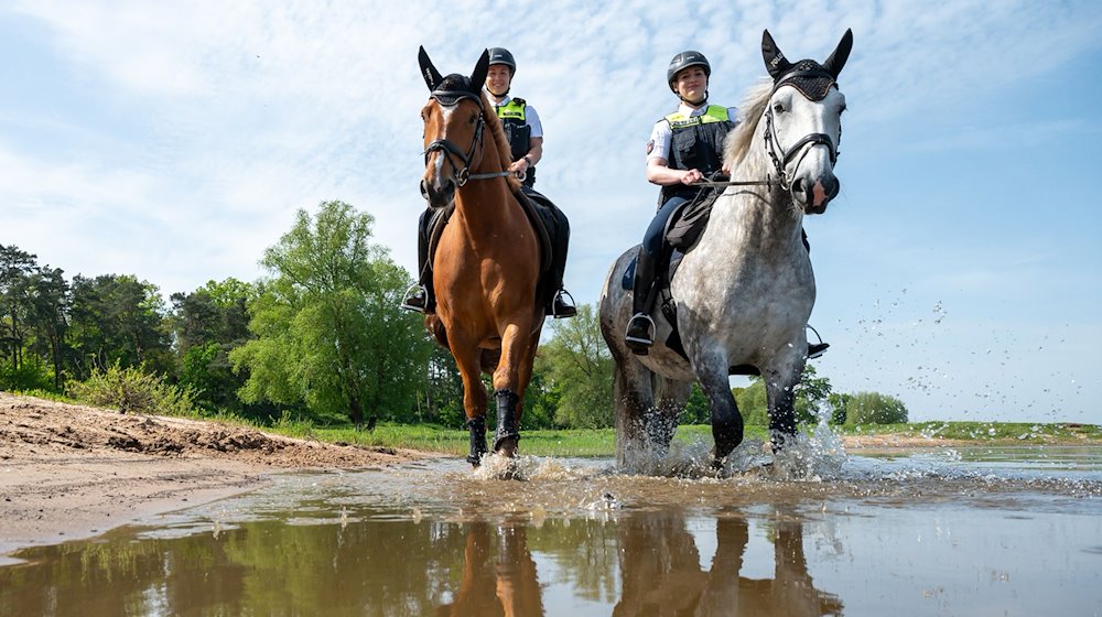 Die Polizeireiterinnen Clara (l) und Denise reiten bei einem Pressetermin mit ihren Dienstpferden am Ufer der Elbe entlang. / Foto: Philipp Schulze/dpa