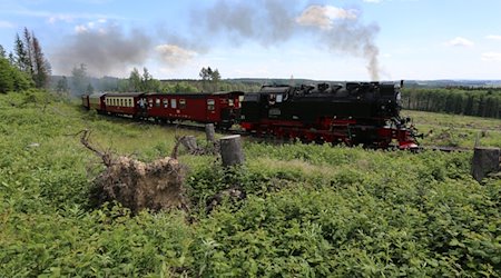 Ein Zug der Harzer Schmalspurbahn HSB, fährt in über Schierke zum Brocken. / Foto: Matthias Bein/dpa-Zentralbild/dpa/Archivbild