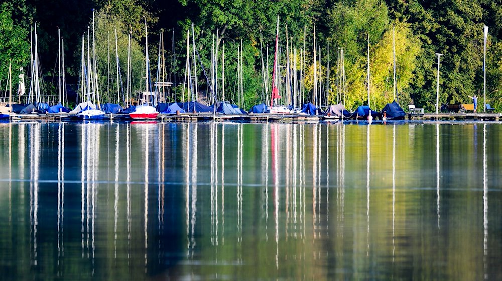 Festgemachte Segelboote liegen an einem Steg im Maschsee. / Foto: Julian Stratenschulte/dpa