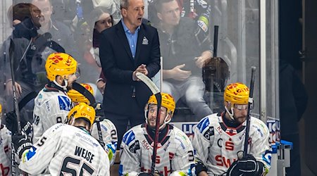 Trainer Thomas Popiesch von Pinguins Bremerhaven ruft seinem Team etwas zu. / Foto: Andreas Gora/dpa/Archivbild