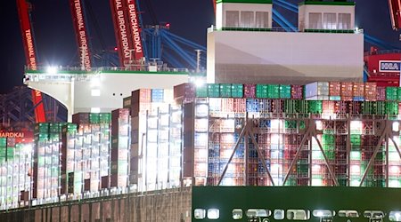 Ein Containerschiff liegt in Hamburg am Containerterminal Burchardkai. / Foto: Daniel Bockwoldt/dpa/Symbolbild