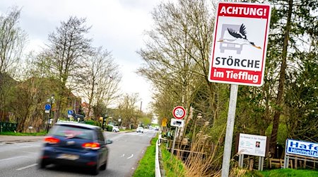 «Achtung! Störche im Tiefflug» steht auf einem Schild am Ortseingang von Sandstedt. / Foto: Sina Schuldt/dpa