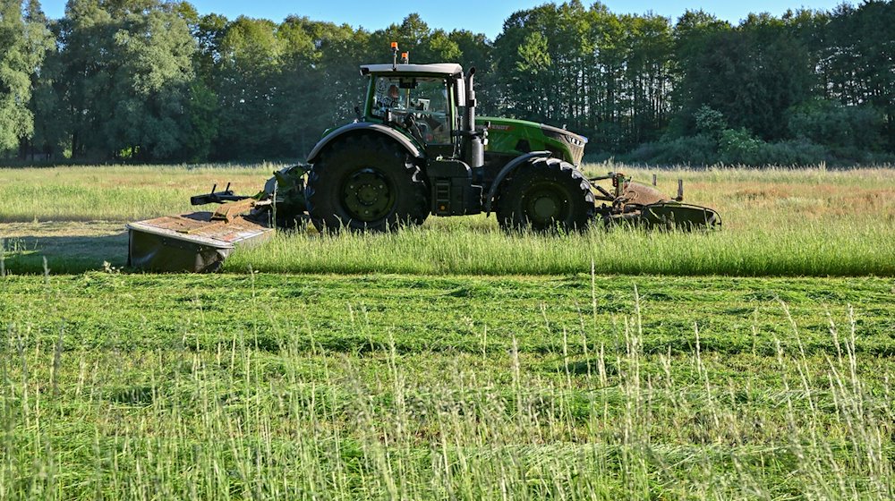 Ein Landwirt mäht am frühen Morgen eine Wiese. / Foto: Patrick Pleul/dpa/Symbolbild