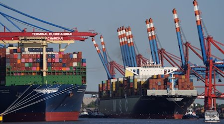 Containerschiffe liegen an einem Containerterminal im Hafen. / Foto: Marcus Brandt/dpa