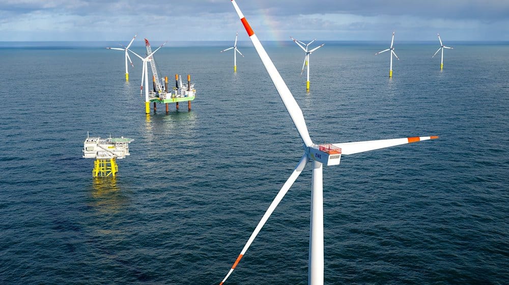 Der Offshore-Windpark Riffgat rund 15 Kilometer nördlich der Insel Borkum. / Foto: Sina Schuldt/dpa