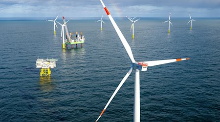 Der Offshore-Windpark Riffgat rund 15 Kilometer nördlich der Insel Borkum. / Foto: Sina Schuldt/dpa