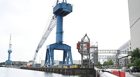 Blick auf die Meyer Werft an der Ems. / Foto: Lars Penning/dpa/Archivbild
