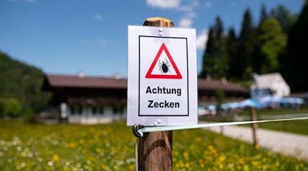 Ein Schild warnt an einem Wanderweg vor Zecken. / Foto: Sven Hoppe/dpa