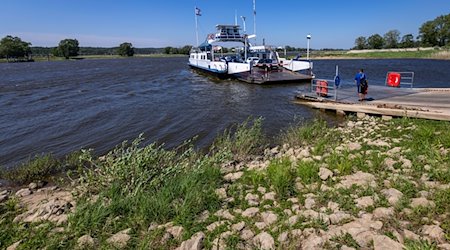 Das Fährschiff «Tanja» setzt Fußgänger und Fahrzeuge über den früheren innerdeutschen Grenzfluss Elbe. / Foto: Jens Büttner/dpa