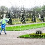 Regentropfen perlen auf einer Fensterscheibe vom Schloss Herrenhausen. / Foto: Julian Stratenschulte/dpa