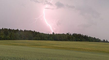 Ein Blitz ist bei einem Gewitter über einem Waldstück zu sehen. / Foto: B&S/dpa/Symbolbild