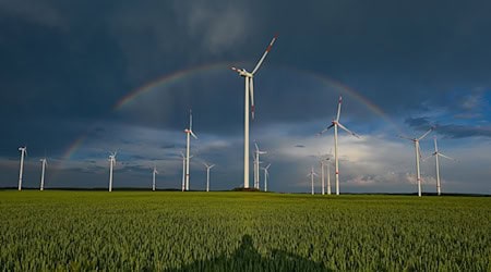 Ein Regenbogen ist vor dunklen Wolken am Abend über der Landschaft mit einem Windenergiepark im Osten von Brandenburg zu sehen. / Foto: Patrick Pleul/dpa