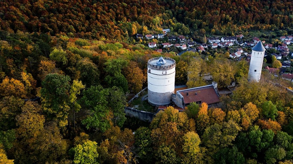 Blick auf die Burg Plesse. / Foto: Swen Pförtner/dpa