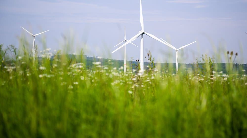 Windräder drehen sich auf einem Feld. / Foto: Julian Stratenschulte/dpa