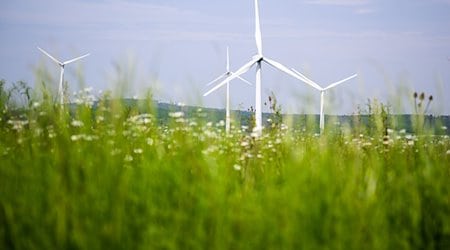 Windräder drehen sich auf einem Feld. / Foto: Julian Stratenschulte/dpa