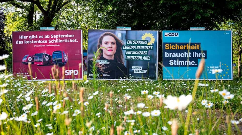 Wahlplakate zur Europawahl von der SPD, Bündnis90/ Die Grünen und der CDU stehen an einer Straße. / Foto: Daniel Bockwoldt/dpa