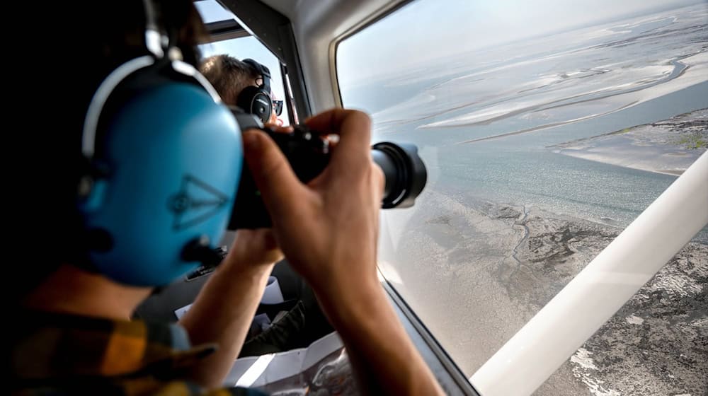 Ole Stejskal fotografiert Seehunde aus dem Flugzeug heraus. / Foto: Sina Schuldt/dpa/Archivbild
