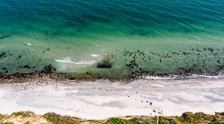 Wellen laufen am Strand der Ostsee am sogenannten Schwedeneck auf den Sand. / Foto: Axel Heimken/dpa/Symbolbild