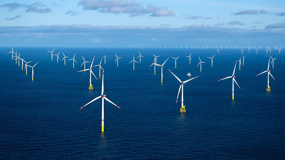Der Offshore-Windpark Dolwin Alpha. / Foto: Sina Schuldt/dpa