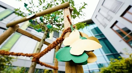 Schmetterlinge aus Papier hängen an einem Gedenkbäumchen am Löwenrot-Gymnasium. Ein 18-Jähriger steht vor Gericht, weil er seine Ex-Freundin in der gemeinsamen Schule in St. Leon-Rot bei Heidelberg erstochen haben soll. (Archivfoto) / Foto: Uwe Anspach/dpa