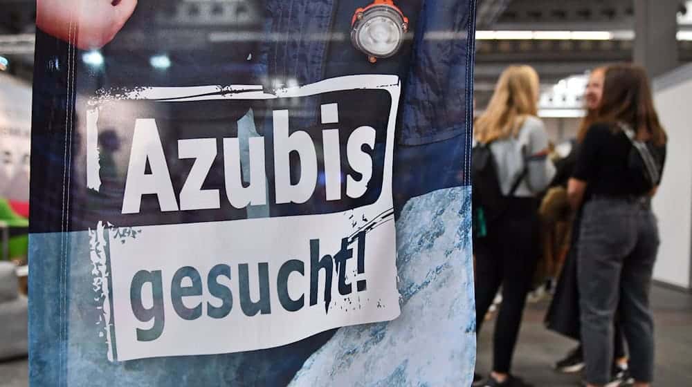 Vor dem Start des Ausbildungsjahres heißt es in vielen Betrieben: «Azubis gesucht!» / Foto: Martin Schutt/dpa-Zentralbild/dpa