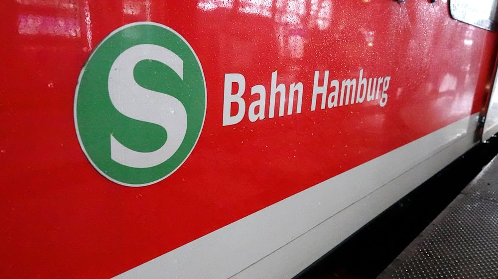 Bauarbeiten anlässlich der Sommerferien schränken den S-Bahn-Verkehr in Hamburg und im Umland ein. / Foto: Rabea Gruber/dpa