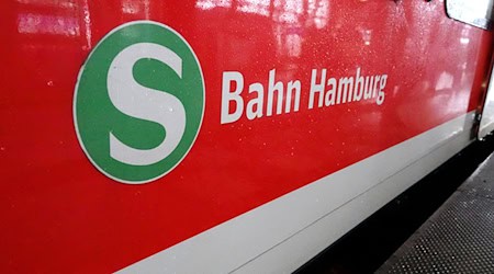 Bauarbeiten anlässlich der Sommerferien schränken den S-Bahn-Verkehr in Hamburg und im Umland ein. / Foto: Rabea Gruber/dpa