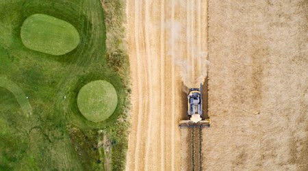 Die aktuelle Witterung hat großen Einfluss auf die gegenwärtige Gerstenernte. (Archivfoto) / Foto: Julian Stratenschulte/dpa