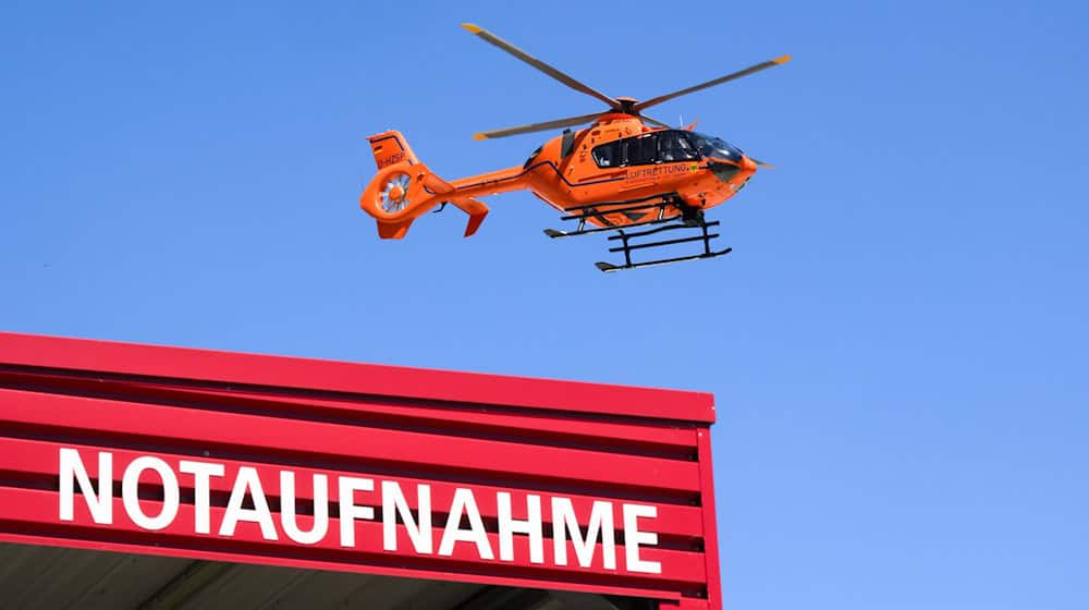 Ein Kletterer stürzte aus acht Metern in die Tiefe. (Symbolbild) / Foto: Julian Stratenschulte/dpa