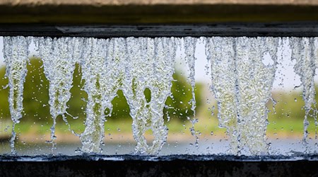 Der viele Regen im vergangenen Winter hat den Grundwasserständen in Niedersachsen gut getan. (Archivbild) / Foto: Julian Stratenschulte/dpa