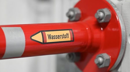 Für Wasserstoffprojekte sollen allein nach Niedersachsen 1,28 Milliarden Euro fließen. (Archivbild) / Foto: Bernd Weißbrod/dpa